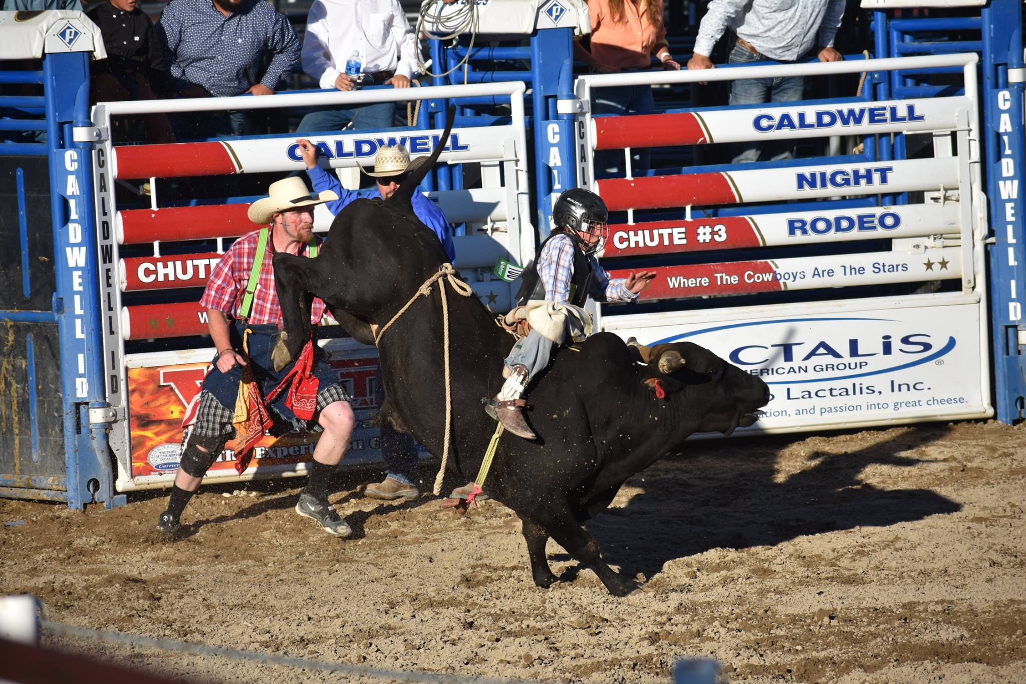 CODY CUSTER TALKS BULL RIDING THE PROCESS Bucking Stock Talk Magazine