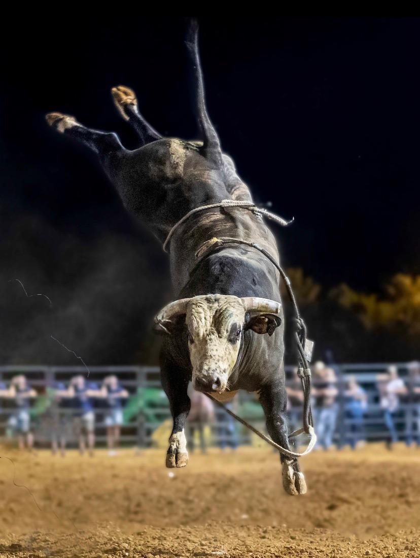 Rickey West Bucking Bulls Making Impact In The Sport