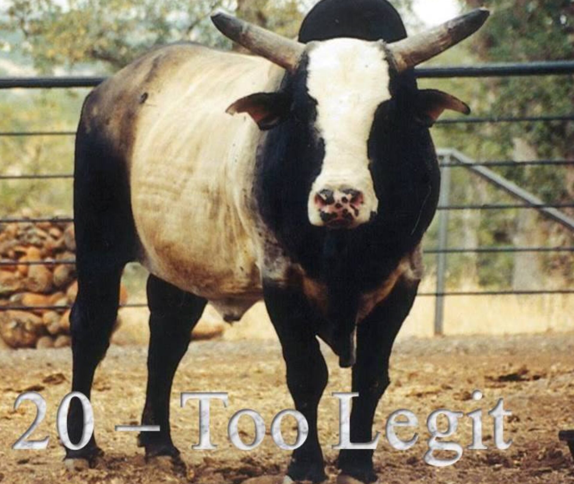 Bucking Stock Talk Magazine