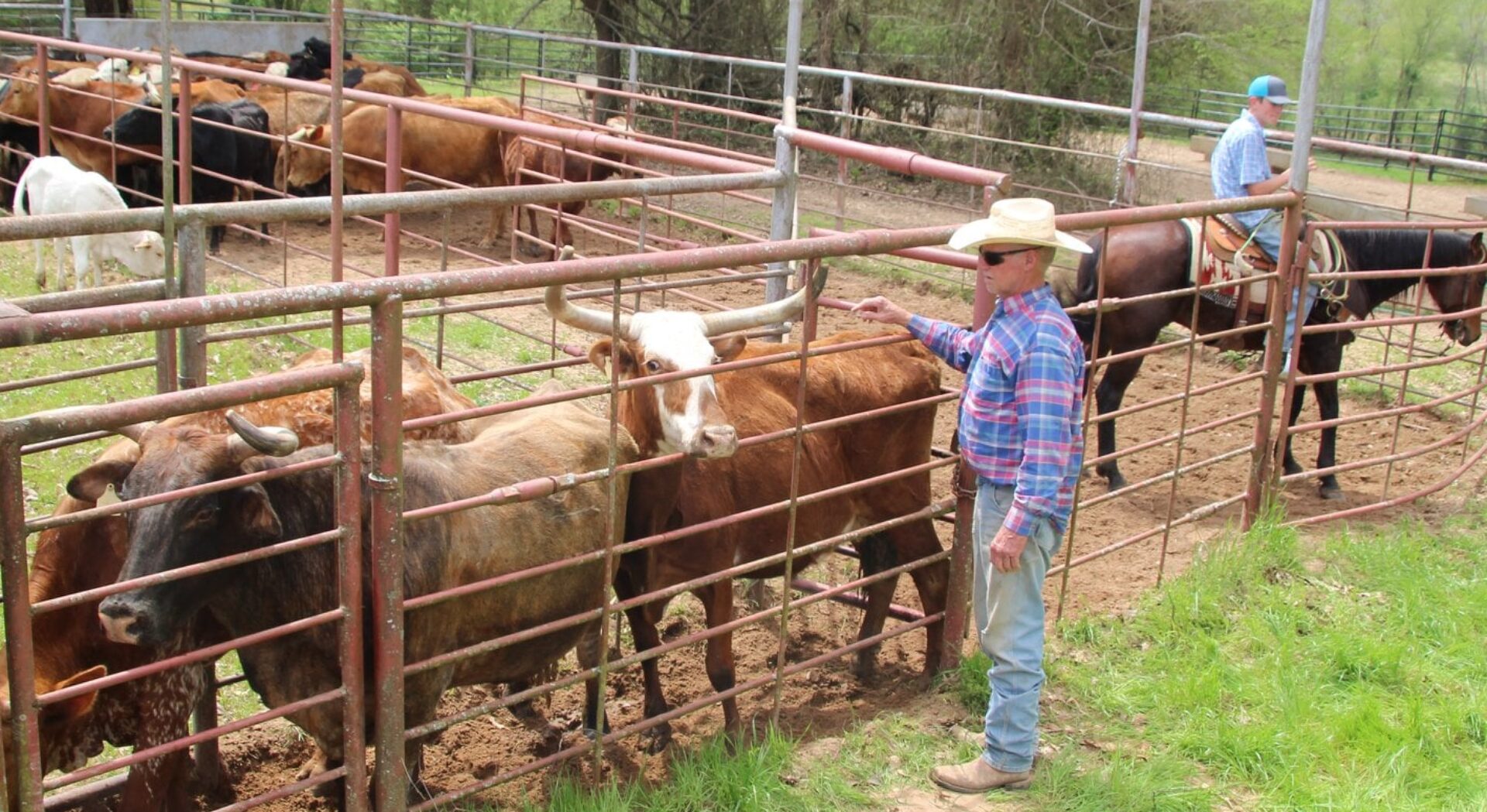 Bucking Stock Talk Magazine